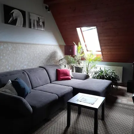 Apartment Agave